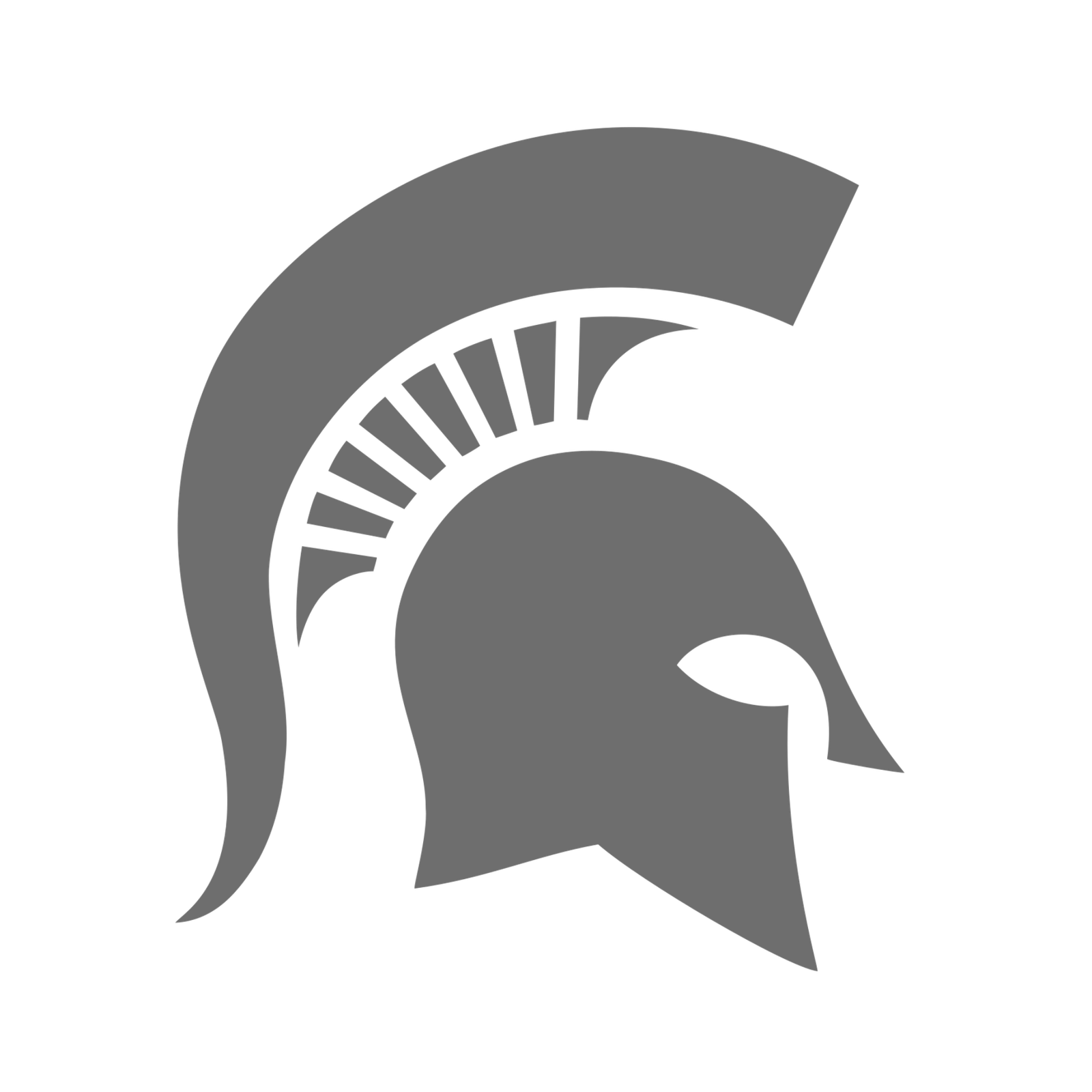 MSU Gray